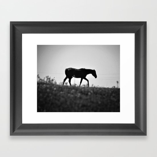 Horse with no name... Framed Art Print