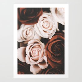 Flower photography - Roses - French Market - Earth tones - Nature  Art Print