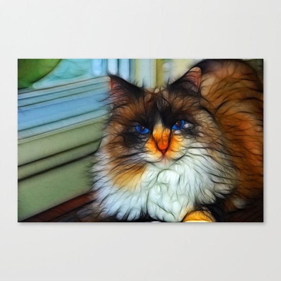 Cat Canvas Print