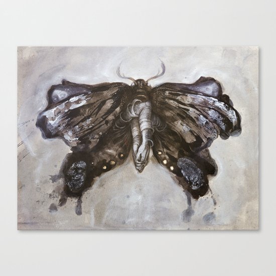 Mirror Moth Canvas Print