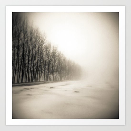 Trees in mist Art Print