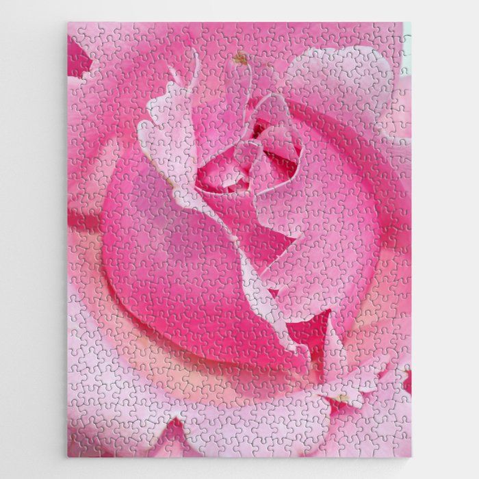 Close Up of Pink Rose Jigsaw Puzzle