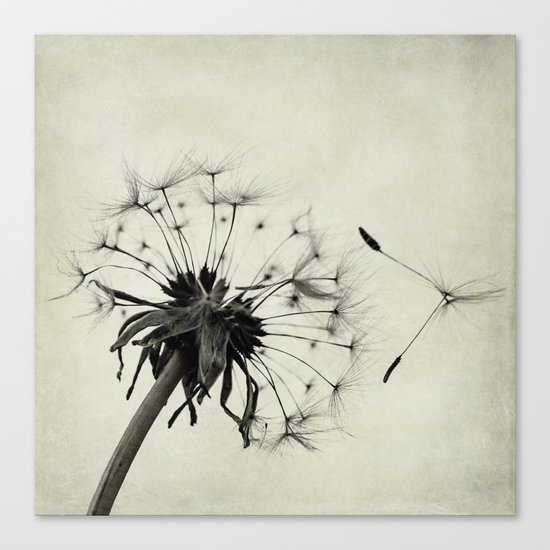 letting go Canvas Print