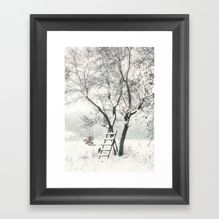 Ladder and Tree Original Winter Photography Framed Art Print