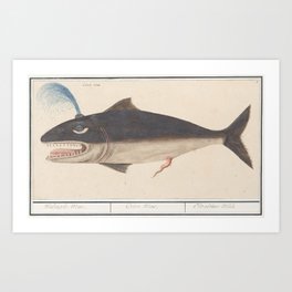 Vintage Whale Illustration, 16th Century Art Print