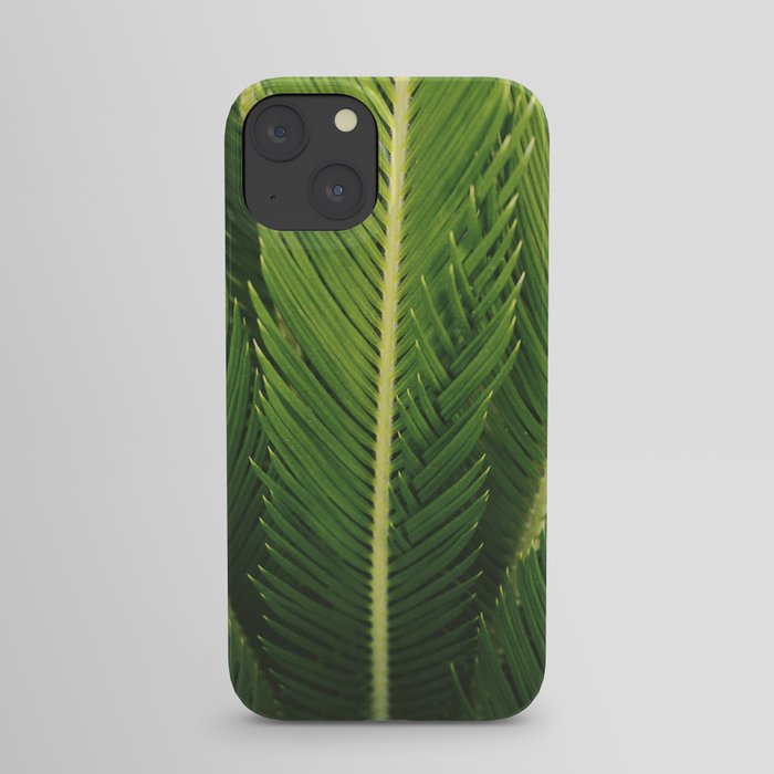 palm tree iPhone Case