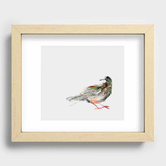 city pigeon Recessed Framed Print