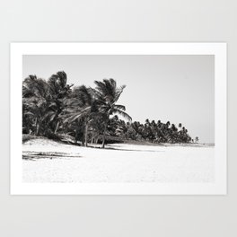 Caribbean Beach Print In Black And White  Art Print