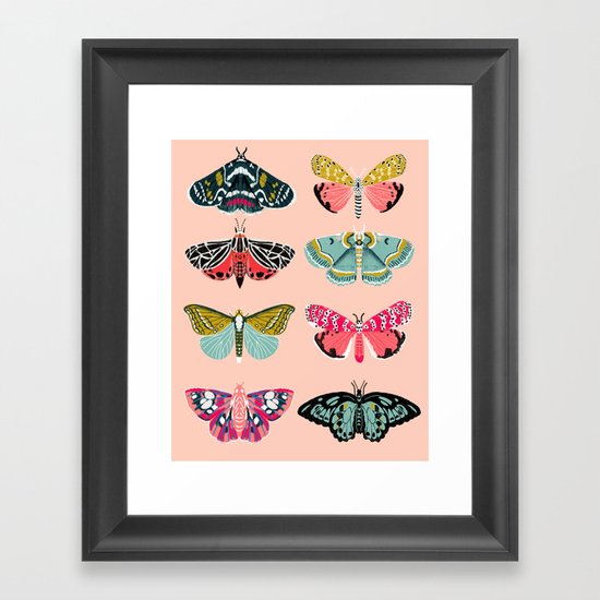 Lepidoptery No. 1 by Andrea Lauren Framed Art Print