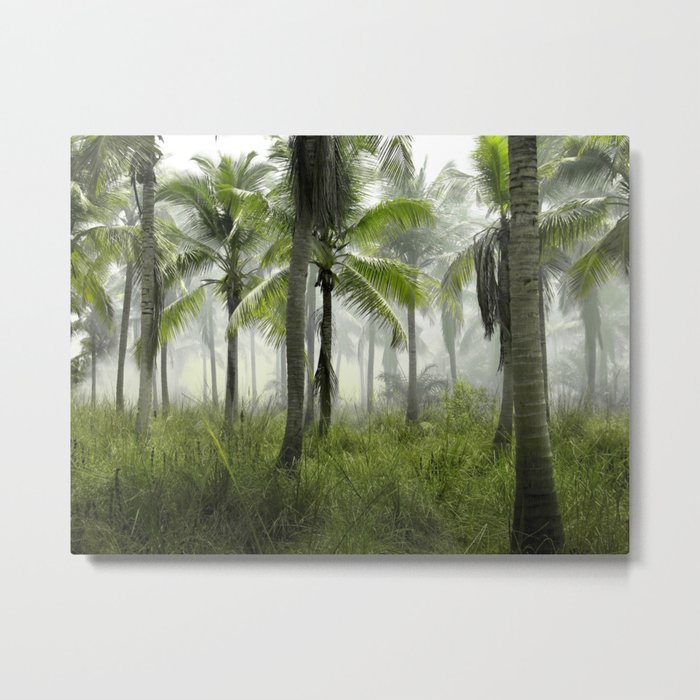 Foggy Palm Forest Metal Print