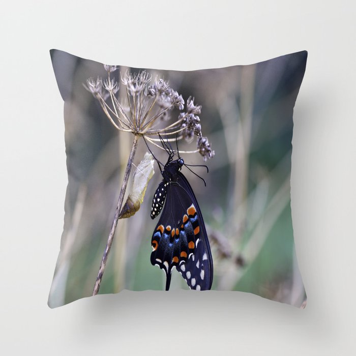 Butterfly emerging from cocoon Throw Pillow