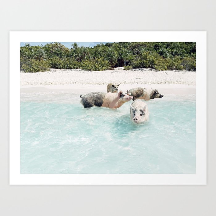 Exuma Beach - Aerial Bahamas Print, Caribbean Sea and Beach photography by Ingrid Beddoes Art Print