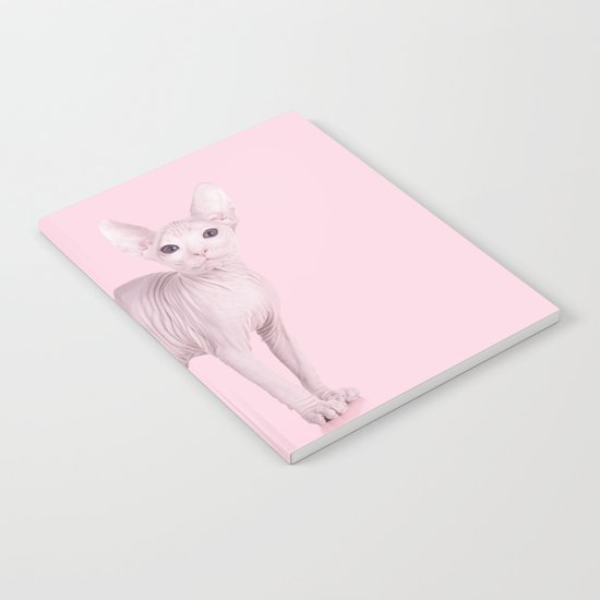 ALBINOCAT Notebook