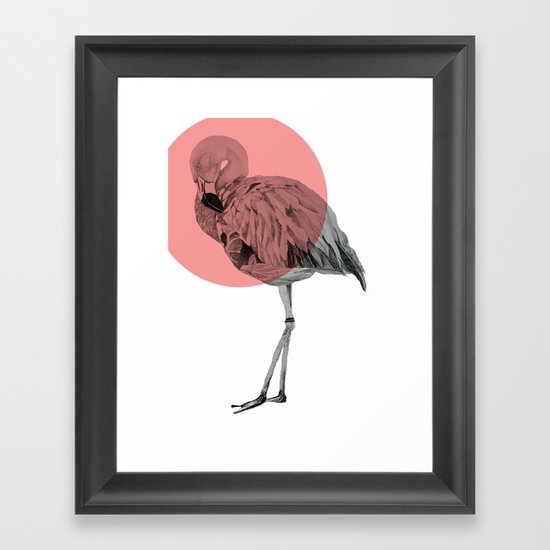 flamingo Framed Art Print