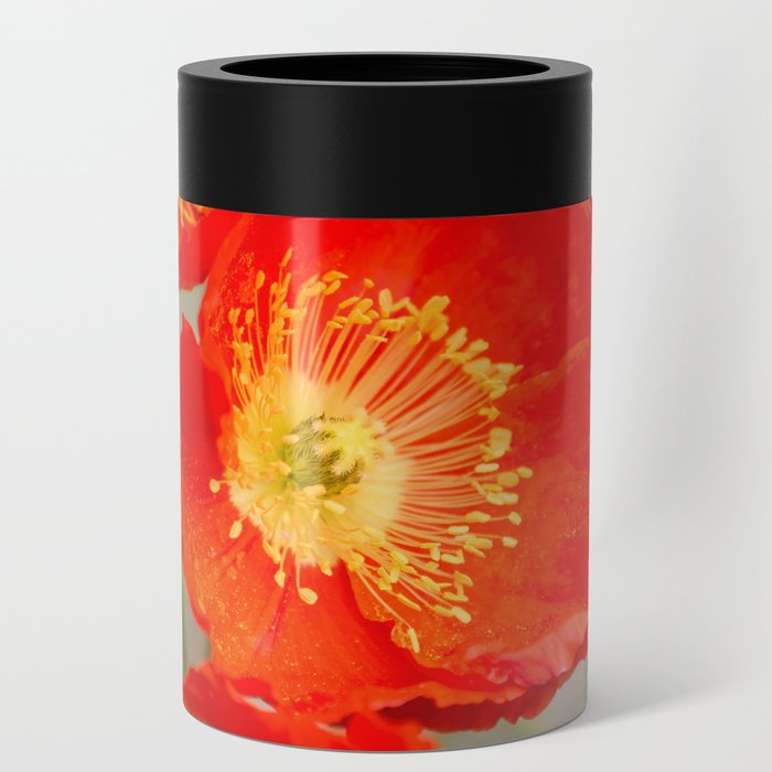 Red Poppy Flowers Can Cooler