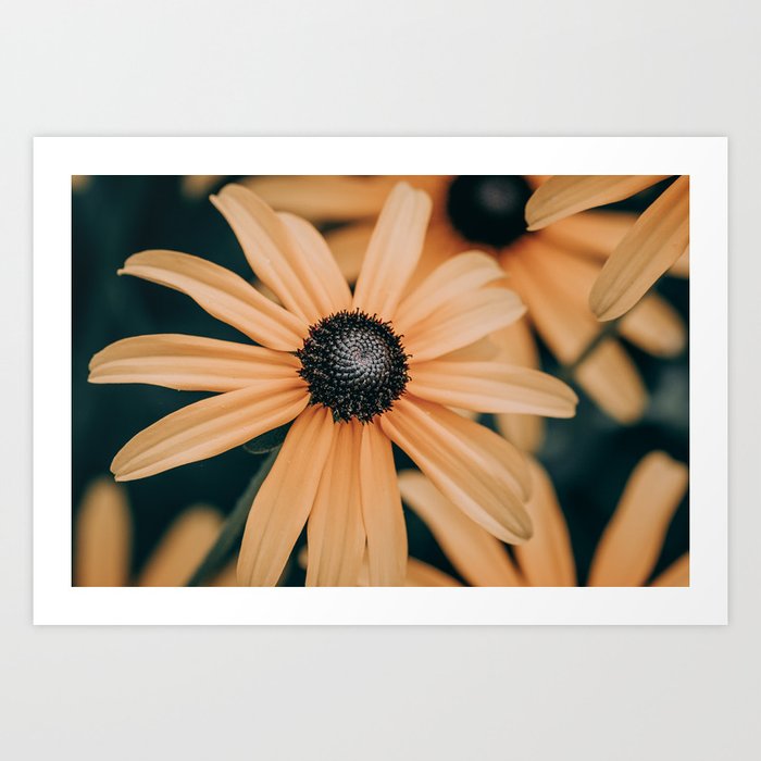 Dark Yellow Flower Photograph Art Print
