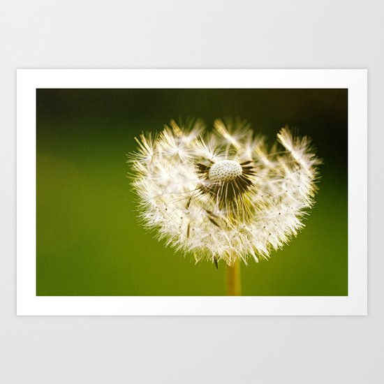 in the sunlight Art Print