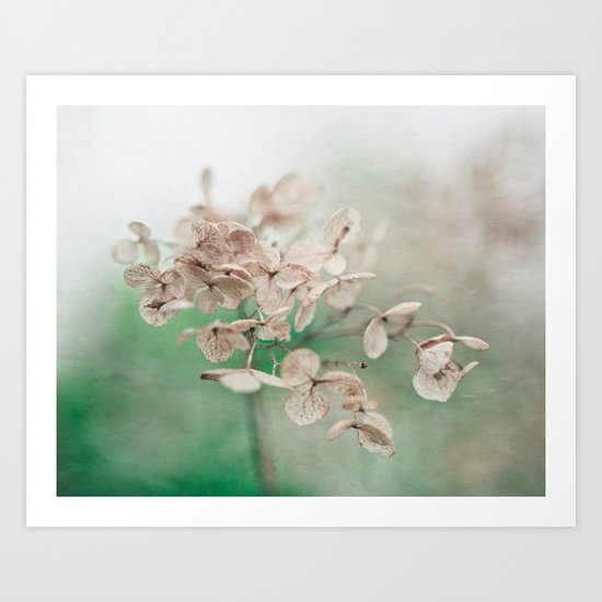 Little Furrows Art Print