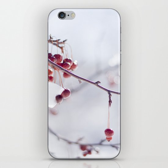 Cherries In Winter iPhone & iPod Skin