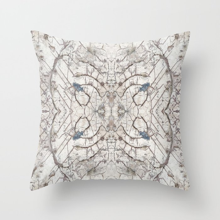 4 flip door BACKGROUND. Throw Pillow