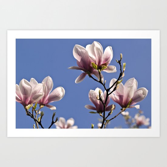 MAGIC MAGNOLIA Art Print