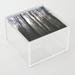 Scottish Highland's Pine Forest Misty Scene in Afterglow  Acrylic Box