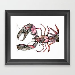 Aphrodisy  lobster Framed Art Print