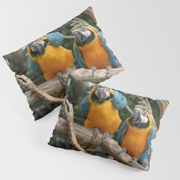 Blue And Gold Macaws Pillow Sham