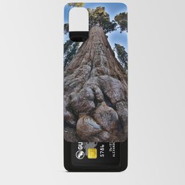 Redwood big; redwoods of California; John Muir woods giant trees nature landscape color photograph / photography Android Card Case