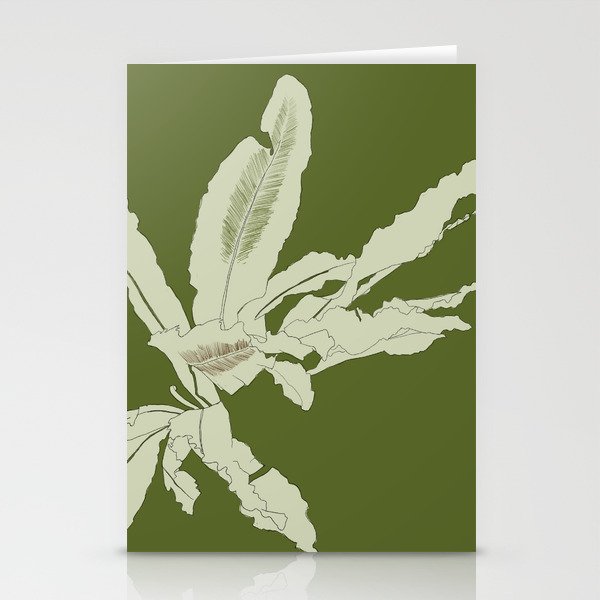 Bird's Nest Fern - Nature's Lines Stationery Cards