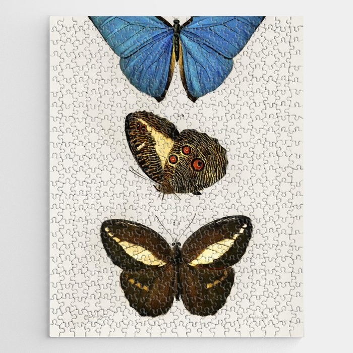 Different Types of Butterfly Jigsaw Puzzle