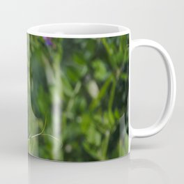 A purple native pea flower, Perth, Western Australia Coffee Mug