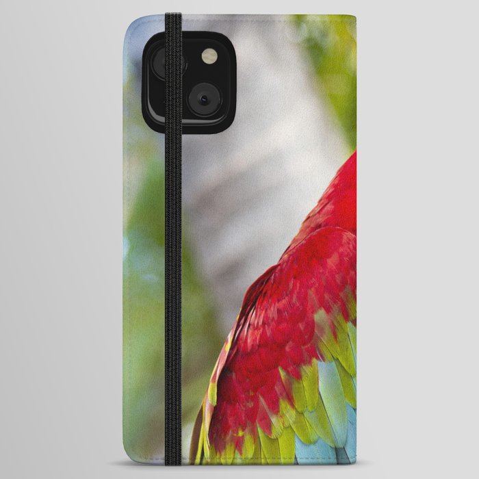 Green Winged Macaw Ara chloropterus Lahaina Maui Hawaii iPhone Wallet Case