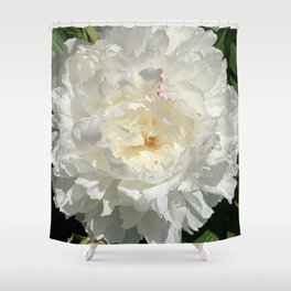 Peony in the sun Shower Curtain