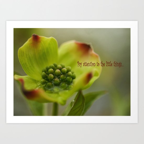 After the Rain Art Print