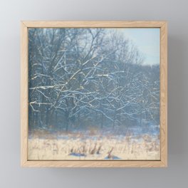 Heather Valley Trees Framed Mini Art Print