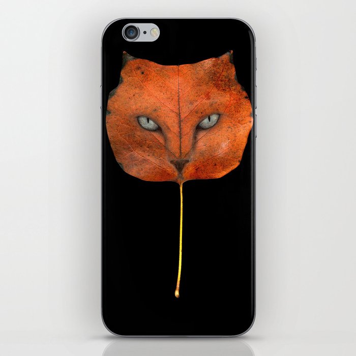 Autumn Cat-4 iPhone Skin