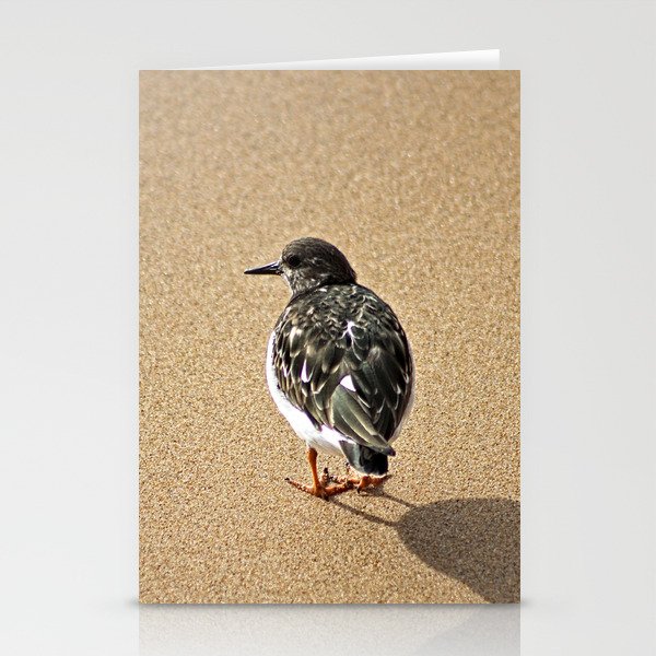 Sandpiper Bird Seashore Portrait Stationery Cards