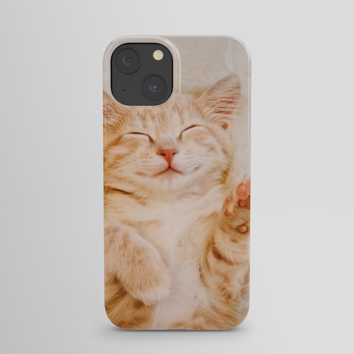 Brown cat iPhone Case