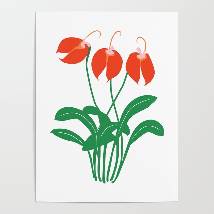 Tropical Orchid - Bold Color-Play Poster