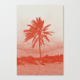 La Palma Canvas Print