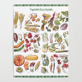 Vegetable Encyclopedia Poster