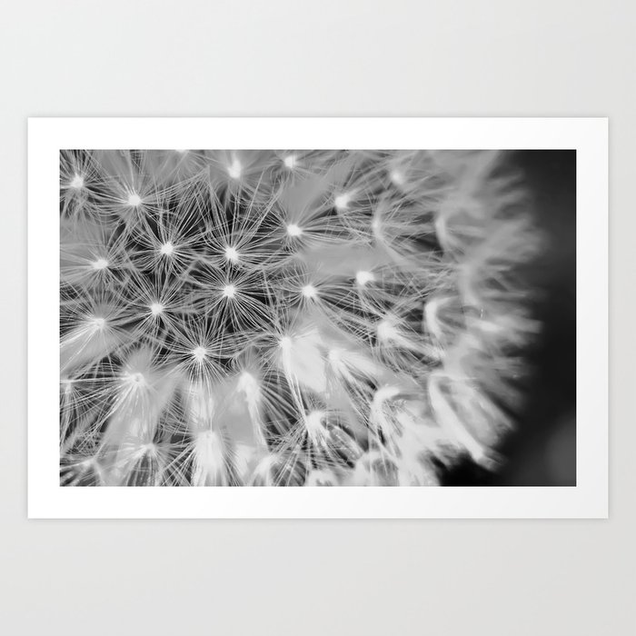 Dandelion Minimalist, Poster Dandelion, Wall Art, Flower, Art Black White, Floral Print, Art Print