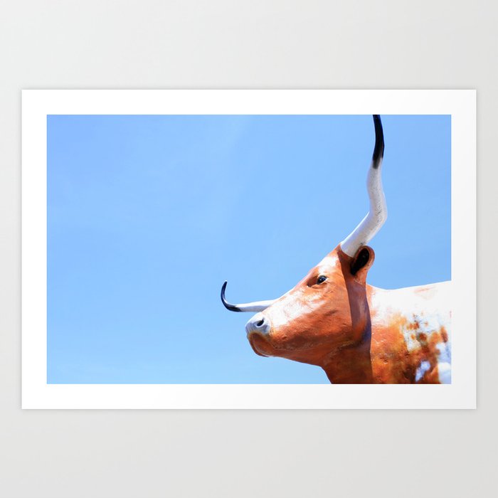 Texas Longhorn (Bevo) Photograph Art Print