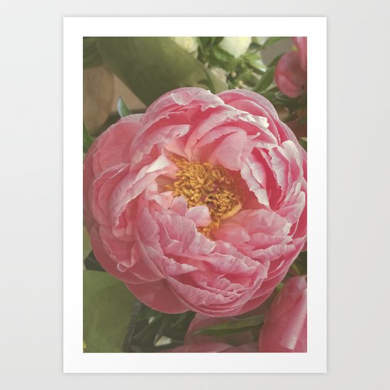 Vintage peony Art Print