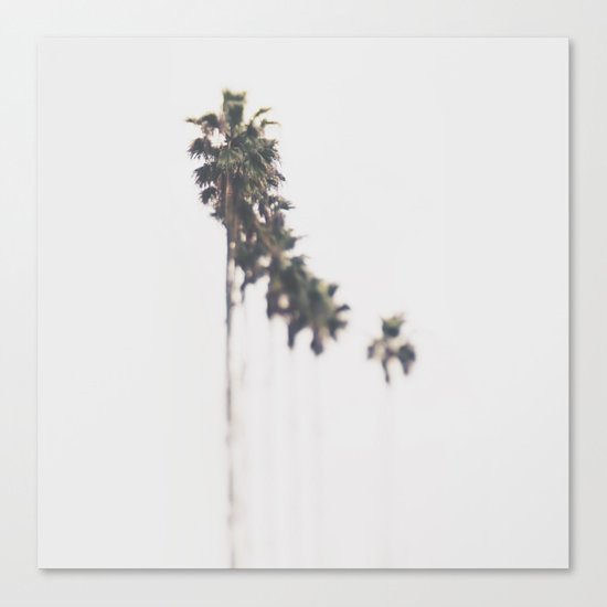Palm Trees Canvas Print