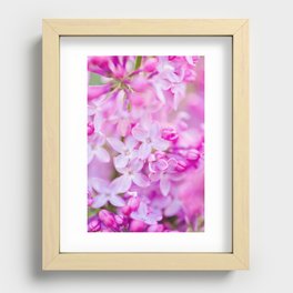 Lilacs in Bloom Recessed Framed Print