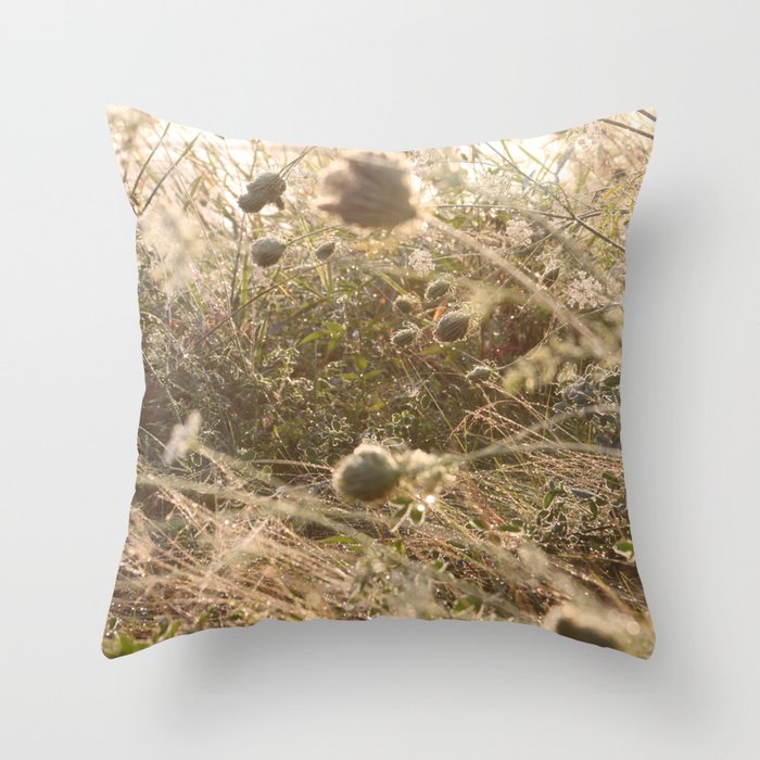 Washed in the gentle dawn Throw Pillow