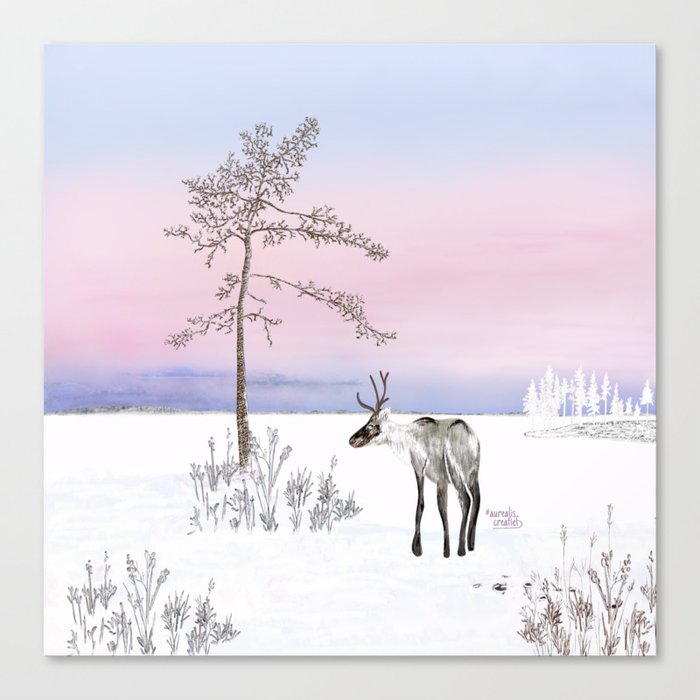 Polarlight - Pink Frosty Morning Canvas Print
