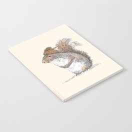 Squirrel with an Acorn Hat Notebook